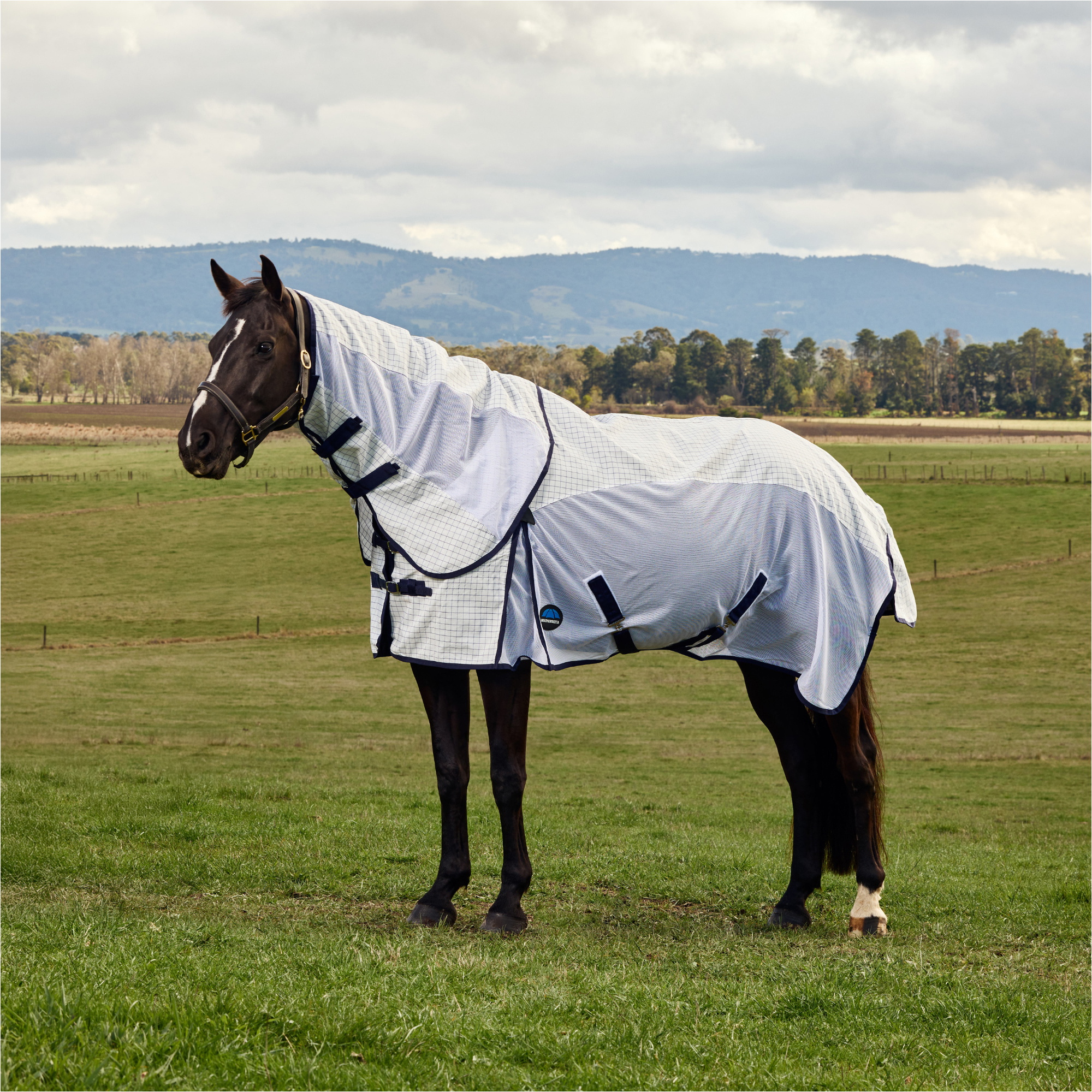 2026 WeatherBeeta Airstream Combo 1029979 - Weiß / Navy